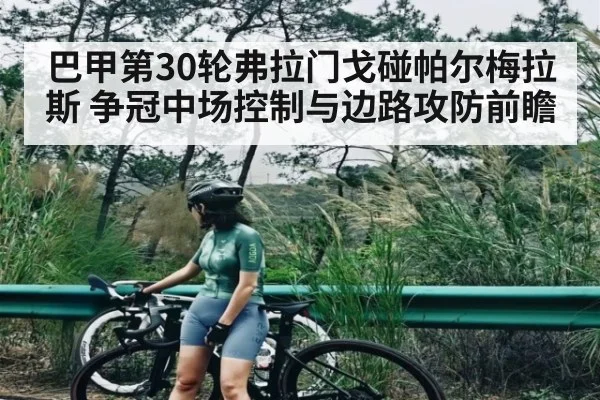 巴甲第30轮弗拉门戈碰帕尔梅拉斯 争冠中场控制与边路攻防前瞻