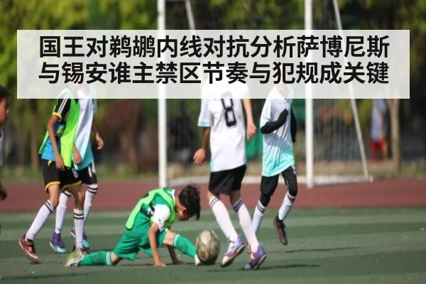 国王对鹈鹕内线对抗分析萨博尼斯与锡安谁主禁区节奏与犯规成关键